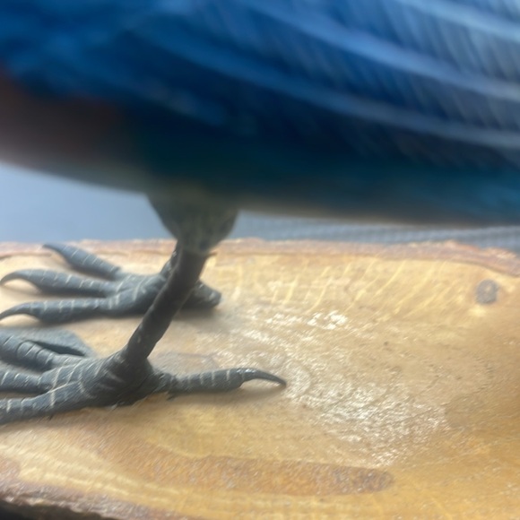 Hand Carved Hand Painted Fine Collection Wood Decoy Shore Bird Vintage - Picture 4 of 15